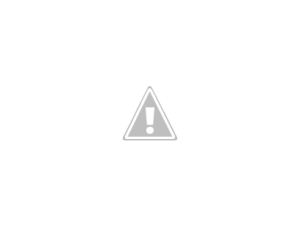 AF1QipPIucHA72Pv8py-BTudZscbZG4IVC7MYa1wvmux=w408-h306-k-no